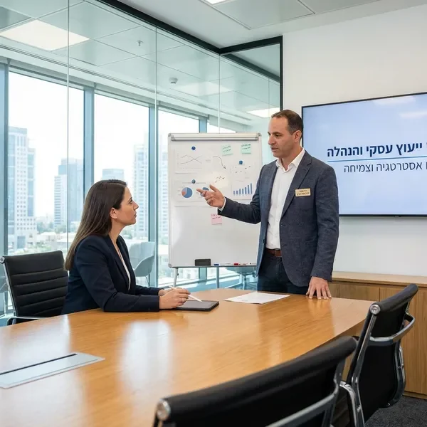 מנטורינג אסטרטגי למנכלים